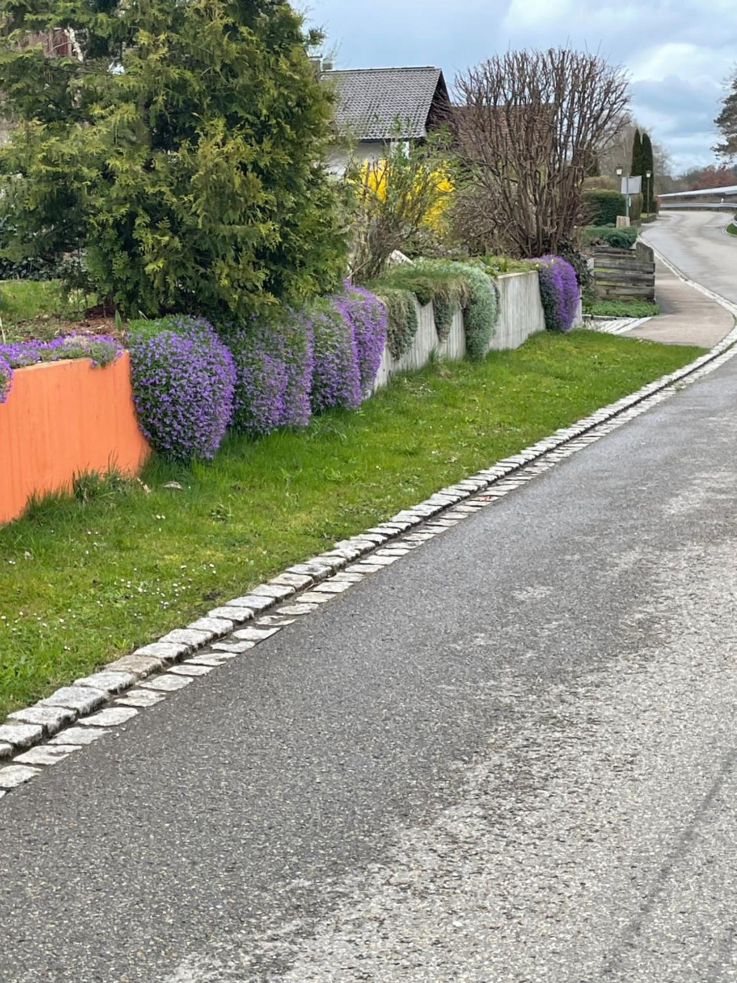 In * Lautrach